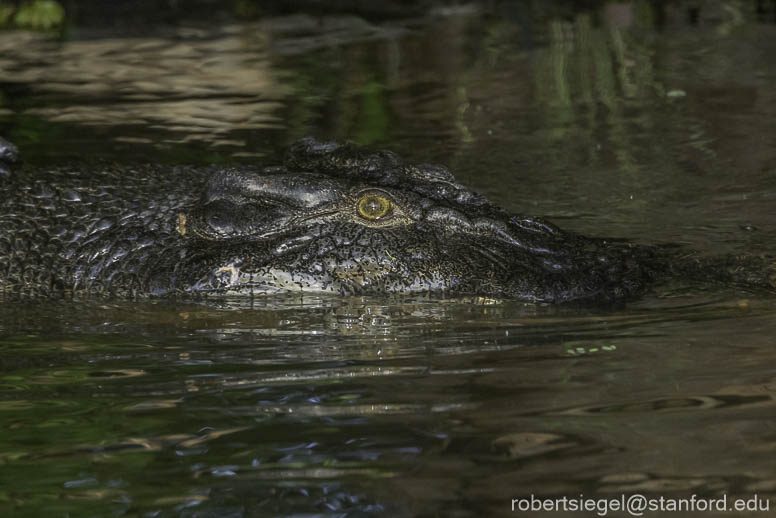 kakadu 2023